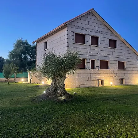 Campos De Balea O Grove